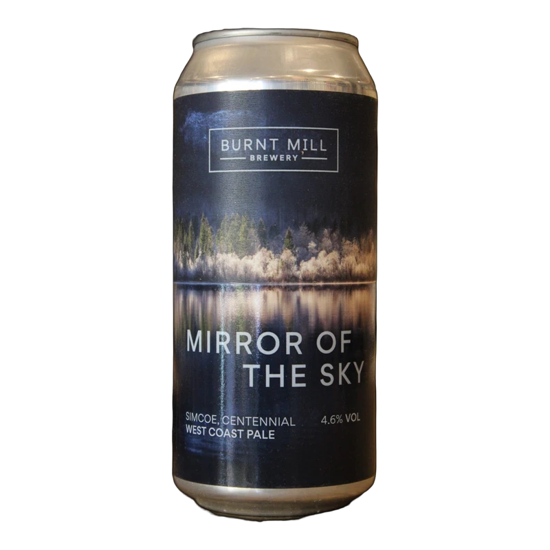 Mirror Of The Sky